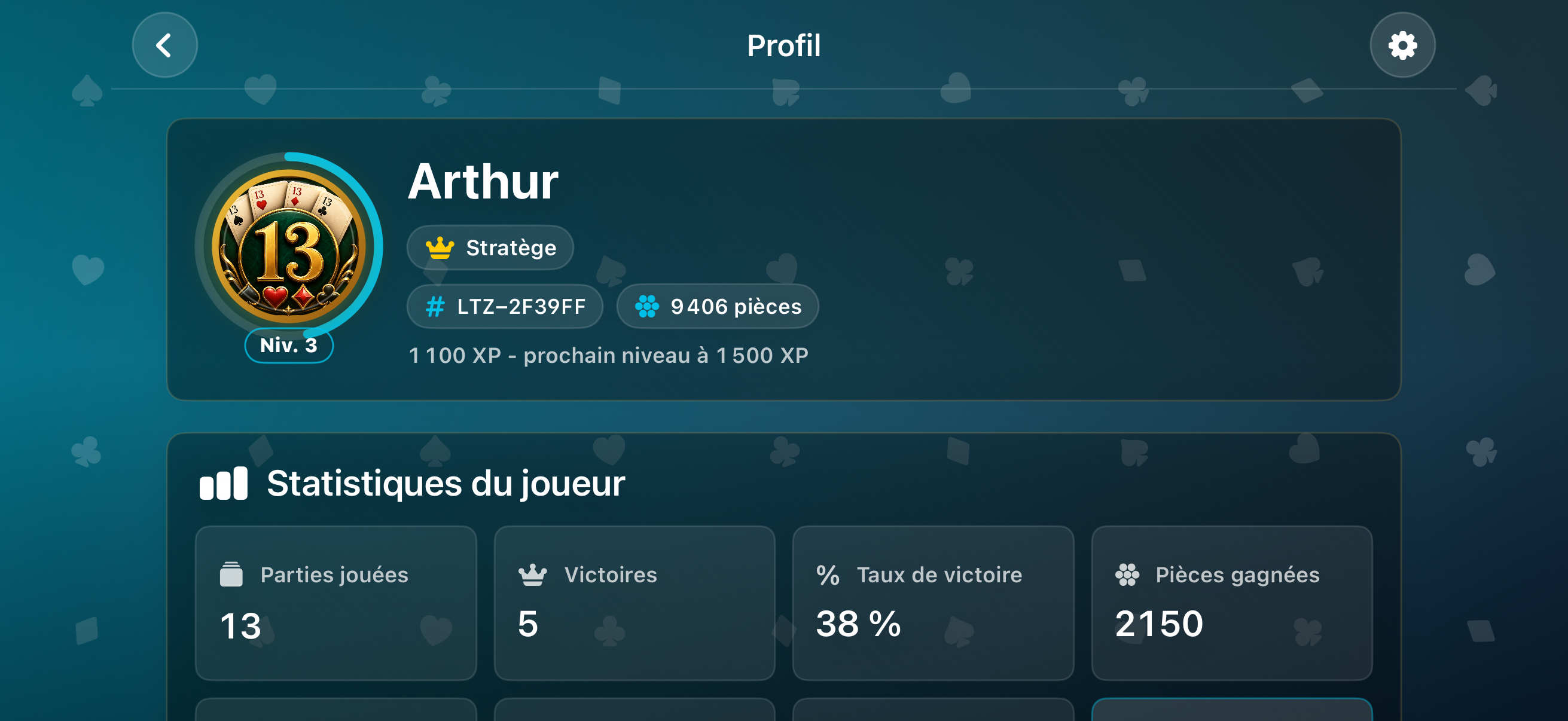 Profil joueur Le 13 avec niveau et statistiques